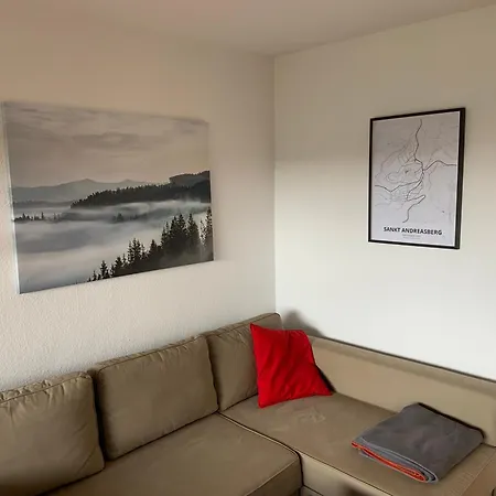 Harzer Nest דירה *