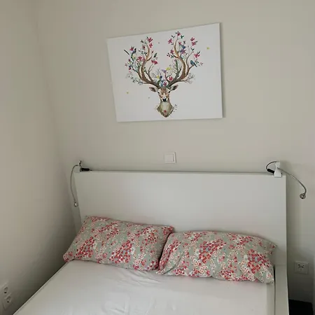 דירה Harzer Nest