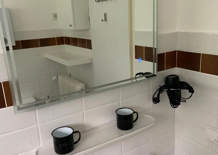 Harzer Nest 公寓 *