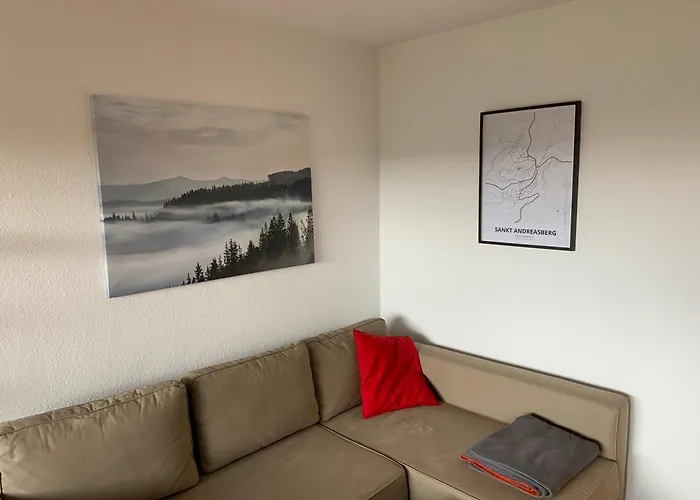 Harzer Nest 公寓 *