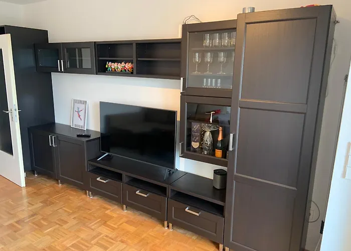 Harzer Nest 公寓 圣安德里斯伯格