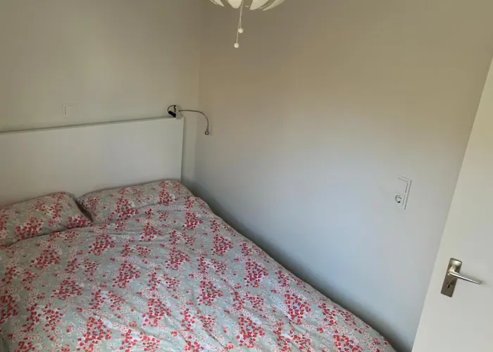 公寓 Harzer Nest *